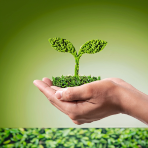 paris proof duurzaamheid